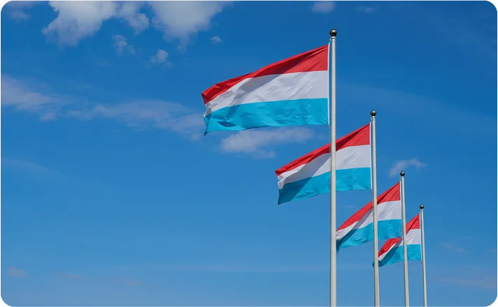 Umzug Luxemburg Flags